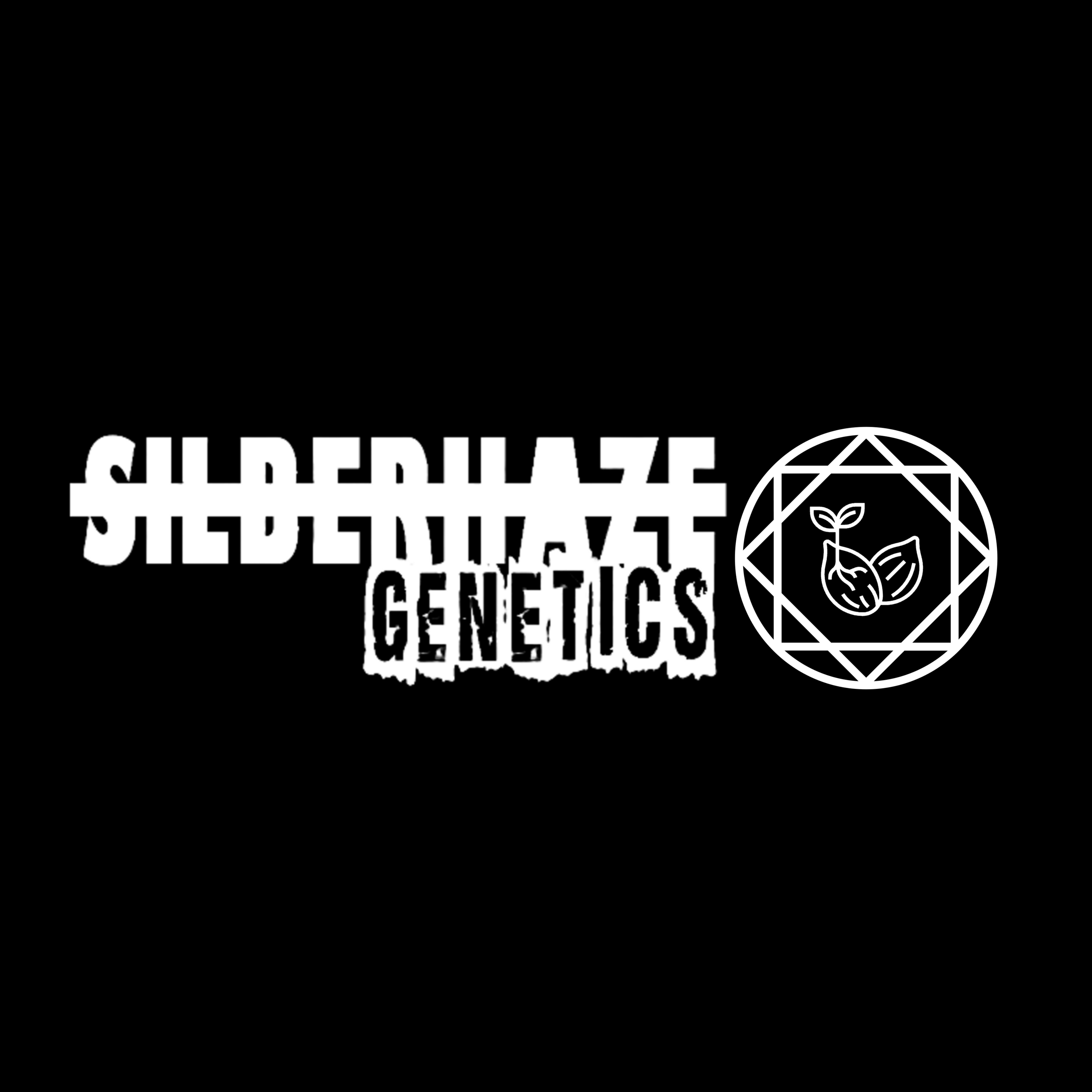 SilberhazeSeeds.com